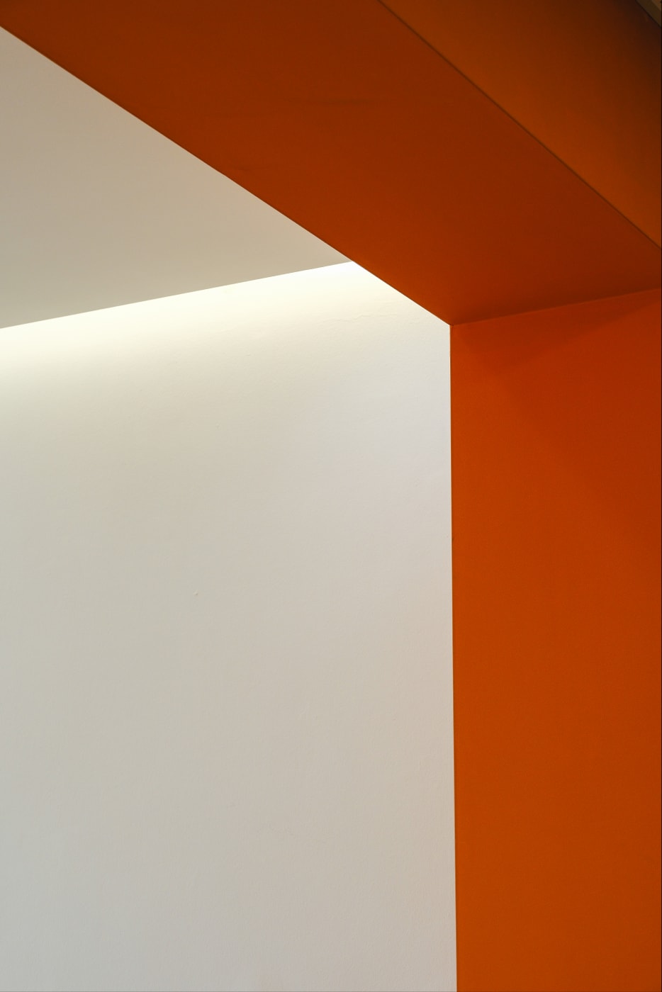 건축집단 프로젝트